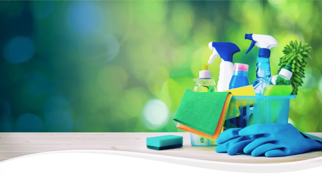 Home Maintenance - Cleaning
