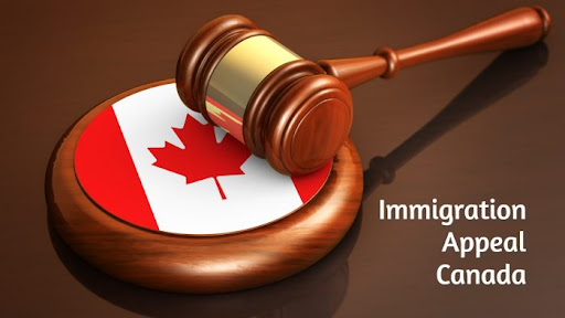 Immigration Assistance